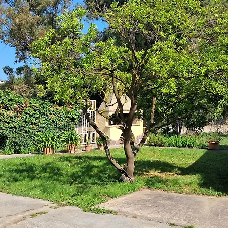 Serra *